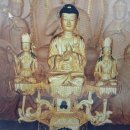 배꽃피는마을민박 | ⑦ 동서트레일, '26.4.25