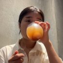 씨유신사공원점 | 2일차두 교토토🦔🦔 미소된장/젠리지/m스탠다드/드래곤버거