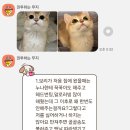 보리 커뮤니케이션