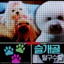 마블헤어샵 - 서귀포시 | 마블헤어샵