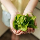 &#34;신진대사 촉진돼 살 빠진다&#34;..&#39;이 영양소&#39; 섭취 이미지