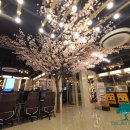 엔유피시(nuPC) 이미지