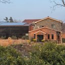 인디언키친 제주 애월 카레 맛집 <b>인디언</b><b>키친</b> 본점 솔직 후기