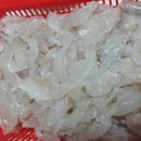 삼천포활어회집 티스토리