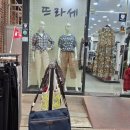 뜨라세