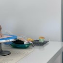 와들스 케이크 이미지