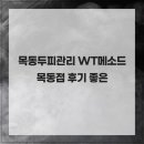 비씨솔루션 | 목동두피관리 WT메소드 목동점 후기 좋은