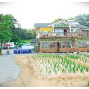 예나펜션 이미지