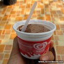 김인식농장 | 태국 파타야 신혼여행! 한미진님 부부의 ' 태국 파타야 자인빌라 ' 허니문 이야기~