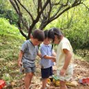 자연해나어린이집 이미지