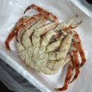 [킹크랩·홍게 택배 솔직후기] 알찬수산에서 처음 주문했는데… 이젠 단골 예약입니다!