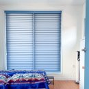 풀꽃마중 이미지