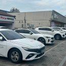 [일상] 5월 모음집 🏷️ 이직 준비, 발레, 동숲, 테슬라 주니퍼, 집밥일기