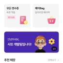 핑퐁 주식회사