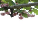 월곡공원 이미지