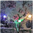 동해황토민박펜션 이미지