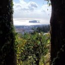 제주 올레길 7-1코스 이미지