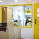 도그애견샵 이미지