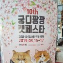 반려묘 용품 박람회 &#39;궁디팡팡 캣페스타&#39; 후기 + 양재at센터 주차 팁!