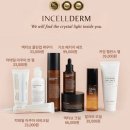 퍼스트클린업 이미지