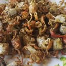 남쪽바다민박 이미지