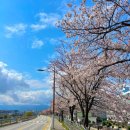 남대천제방길 이미지