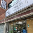 힛티숲