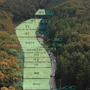 용인랜드 숲속캠핑장 티스토리
