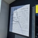 서귀포시축협동물병원 | 9일차) 애견 동반 식당 보말, 성게 전문점 용왕난드르/ 까멜리아 힐/ 곽지 해수욕장/ 서귀포시 축협 한우