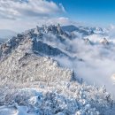 설악산파크식당 이미지