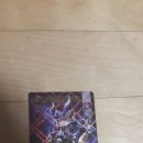 동글코