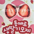 상록수역떡집 | 메고지고 안산상록수점, 24시 무인매장 답례떡 단체 주문 추천