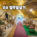 하늘재길 | 지자체지원여행 충주가볼만한곳 오소충주
