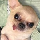 틈바구니 이미지