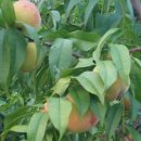 성희농장 이미지