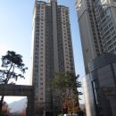 비산청과 이미지