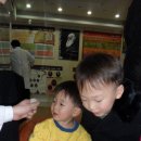생명과학박물관 Daum카페