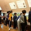 놀토피아 이미지