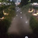 희망장식