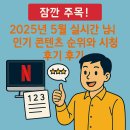 (주)콘텐츠엔 | 2025년 5월 실시간 넷플릭스 인기 콘텐츠 순위와 시청 후기