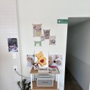 7476 | 동대구역 디저트카페 희운제과 두쫀쿠 픽업 웨이팅 후기