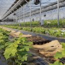 정수농장 이미지