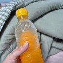 [제주] 서퍼들의 천국 중문 해수욕장 &#39;제주 서핑스쿨&#39;｜게하 디너파티｜1인 게스트 하우스 솔직 후기