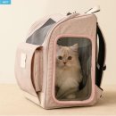 백동물병원 | 병원 갈 때 덜 힘든 펫 이동가방 찾는다면, 구루구루 위고백 선택 후기