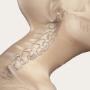 웰리브홀딩스 이미지