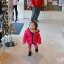 고양화전36 이미지