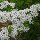 소만공원 이미지