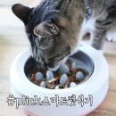 펫플릭 네이버블로그