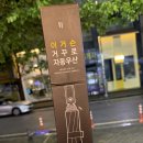 일상공감 이거슨 거꾸로 자동우산 후기