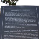 환태평양평화소공원 네이버블로그